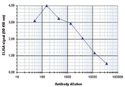 ELISA: Histone H3 [ac Lys9, ac Lys14] Antibody [NBP2-54617]
